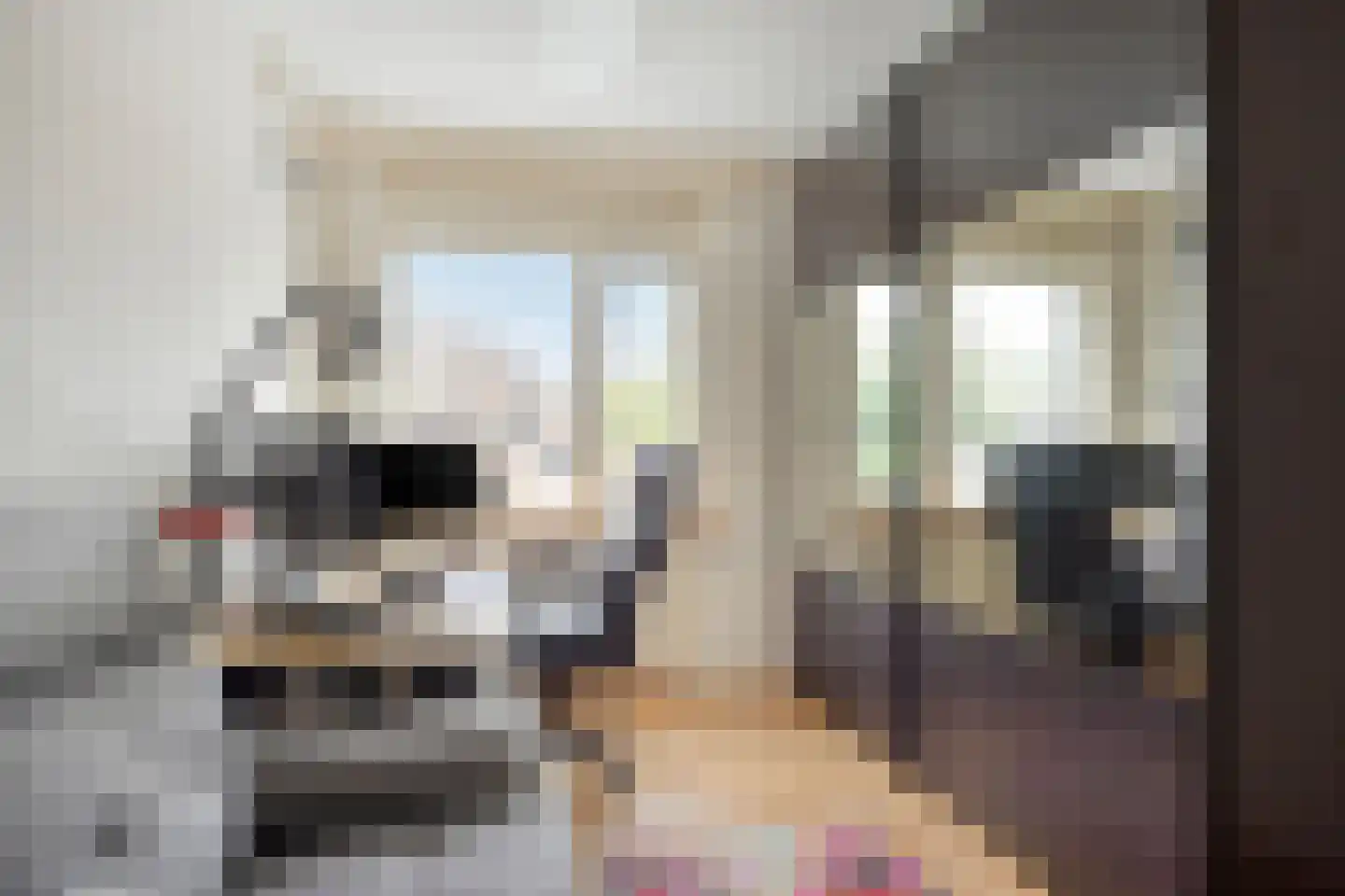 Boletenplein 6 Asten thumbnail 20