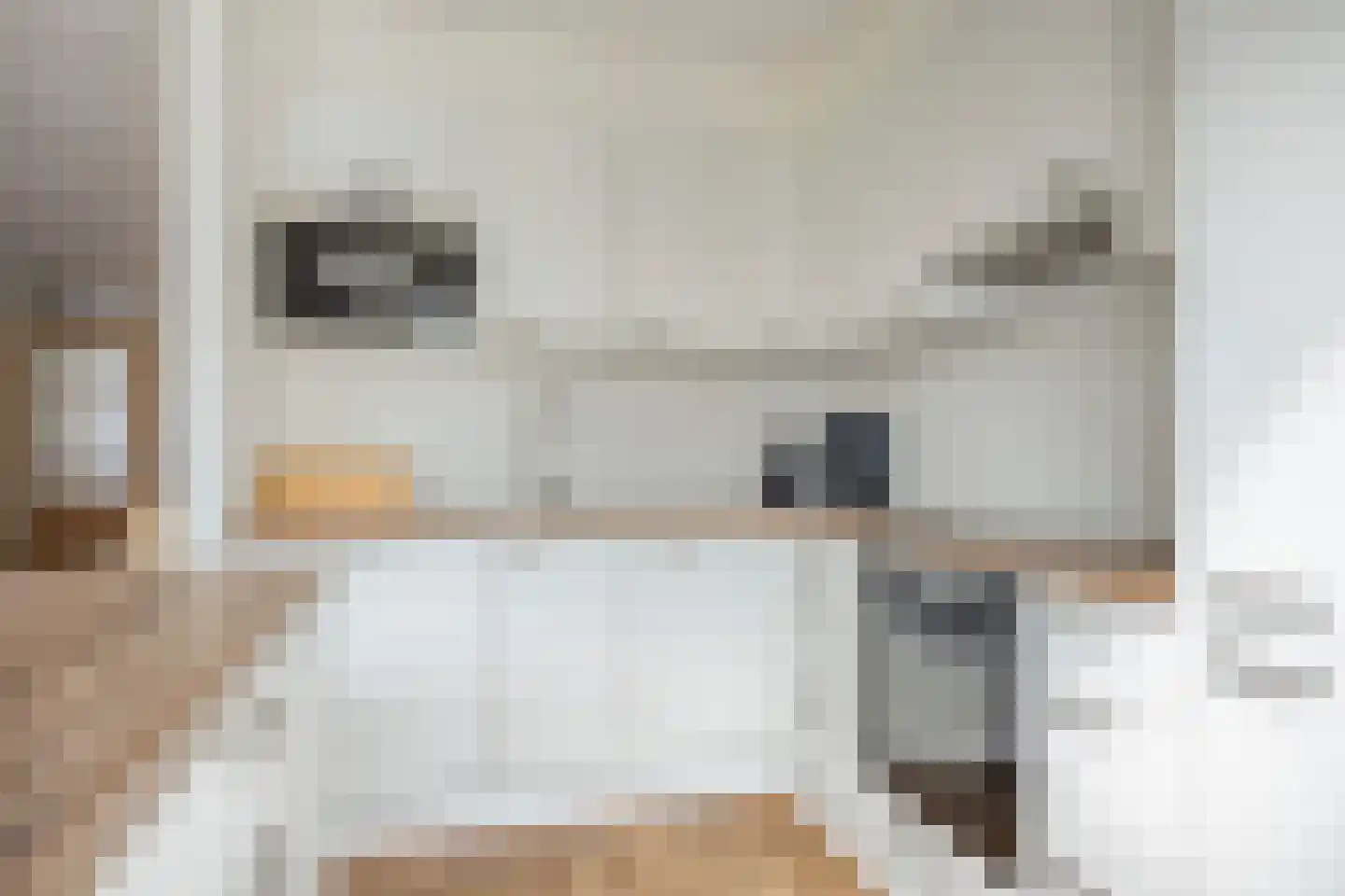 Boletenplein 6 Asten thumbnail 9