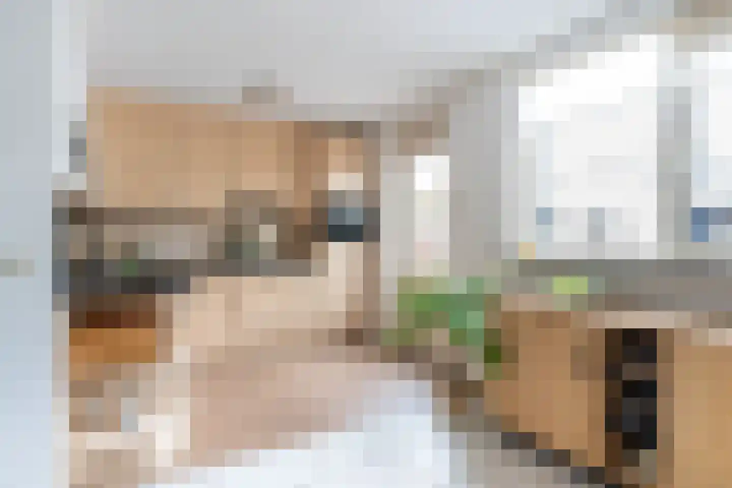 Boletenplein 8 Asten thumbnail 9