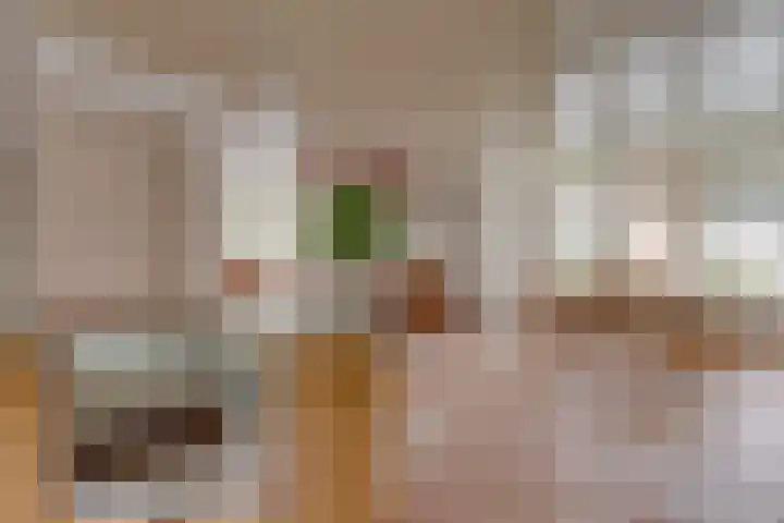Bolgerijsekade 18 Vianen thumbnail 14