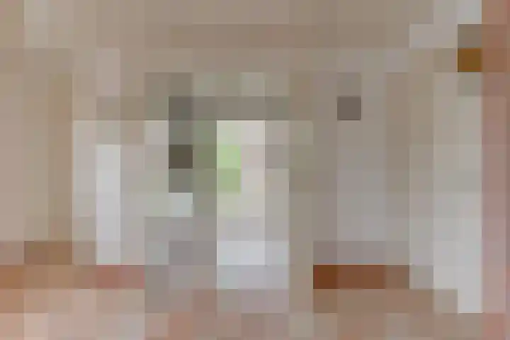 Bolgerijsekade 18 Vianen thumbnail 16
