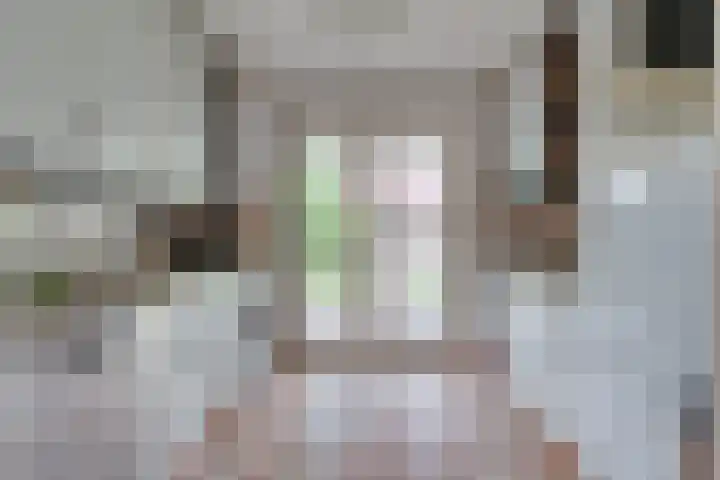 Bolgerijsekade 18 Vianen thumbnail 19
