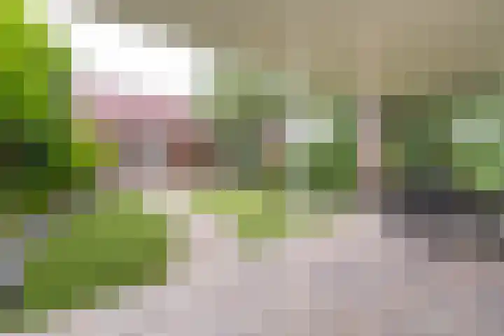 Bolgerijsekade 18 Vianen thumbnail 20
