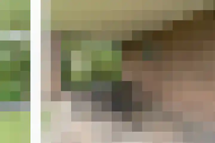 Bolgerijsekade 18 Vianen thumbnail 22