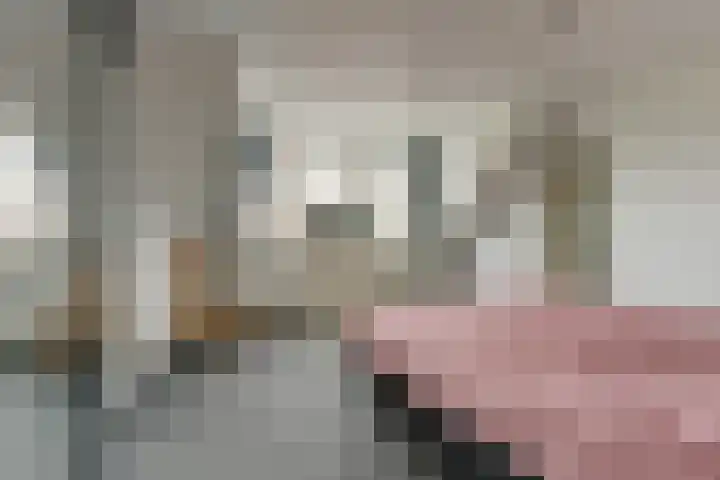 Bolgerijsekade 18 Vianen thumbnail 31