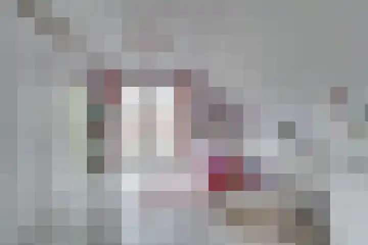 Bolgerijsekade 18 Vianen thumbnail 38