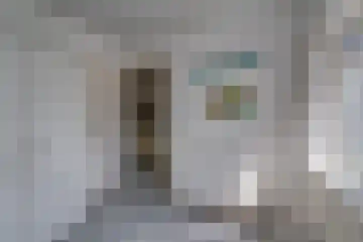 Bolgerijsekade 18 Vianen thumbnail 43