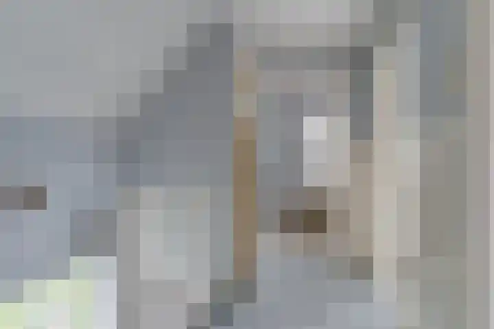 Bolgerijsekade 18 Vianen thumbnail 44
