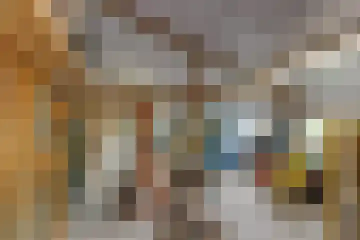 Bolgerijsekade 18 Vianen thumbnail 53