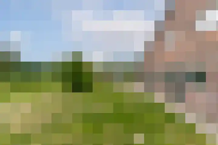 Bolgerijsekade 18 Vianen thumbnail 60