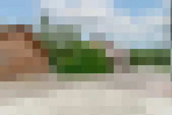 Bolgerijsekade 18 Vianen thumbnail 62
