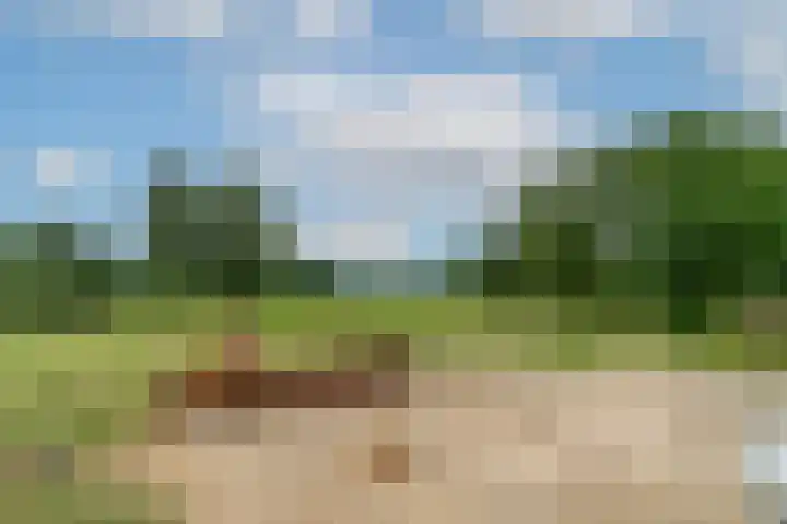 Bolgerijsekade 18 Vianen thumbnail 64