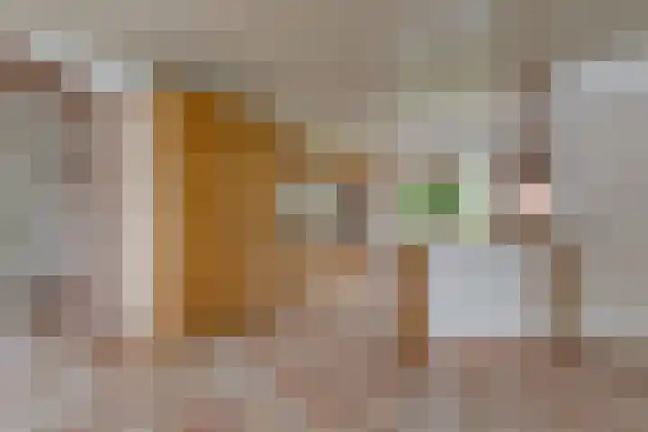 Bolgerijsekade 18 Vianen thumbnail 7