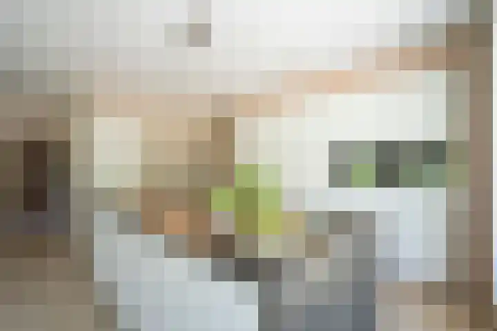 Bolgerijsekade 2 Vianen thumbnail 14