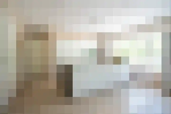 Bolgerijsekade 2 Vianen thumbnail 15