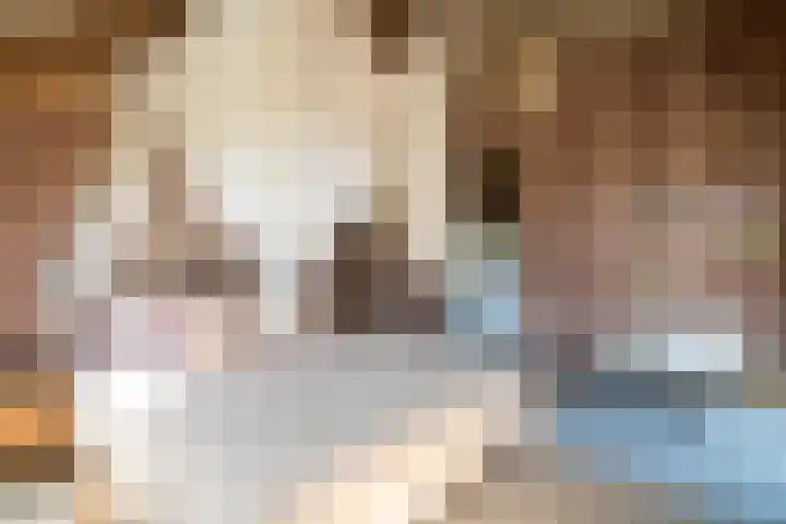 Bolgerijsekade 2 Vianen thumbnail 18