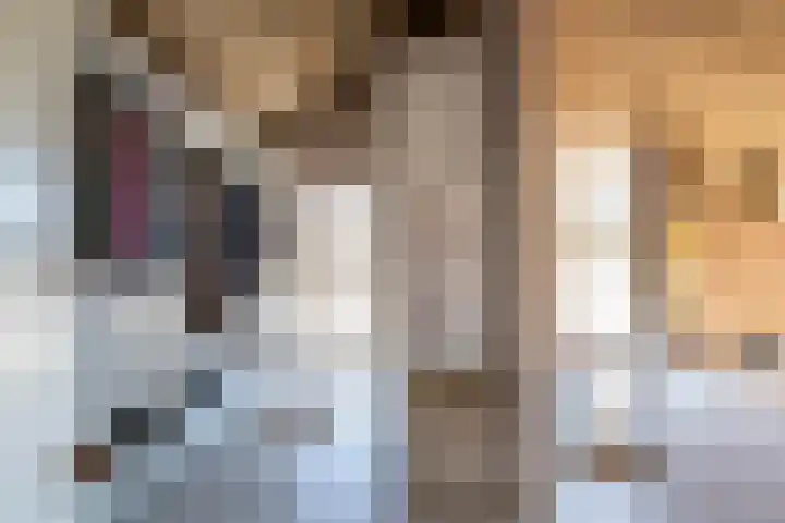 Bolgerijsekade 2 Vianen thumbnail 20