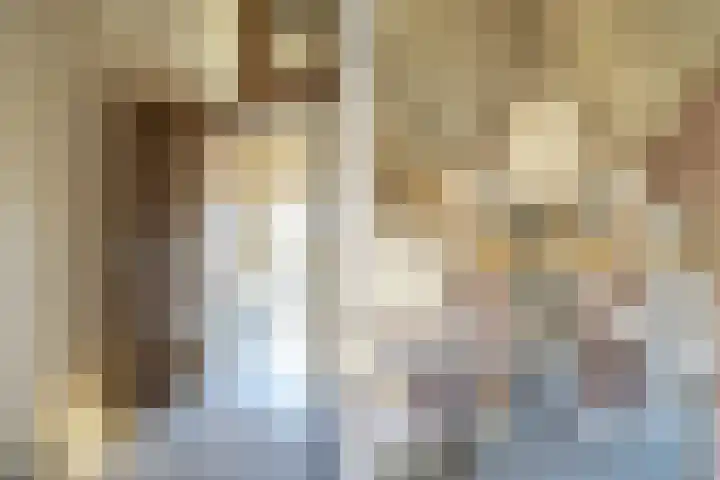 Bolgerijsekade 2 Vianen thumbnail 21