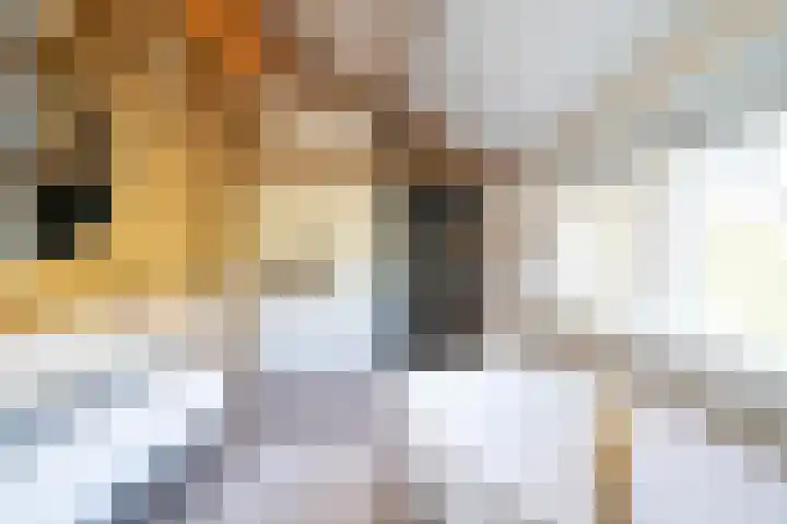 Bolgerijsekade 2 Vianen thumbnail 23