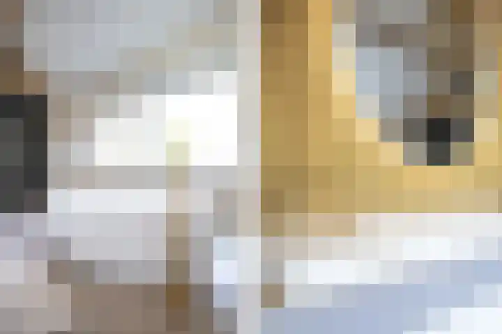 Bolgerijsekade 2 Vianen thumbnail 24