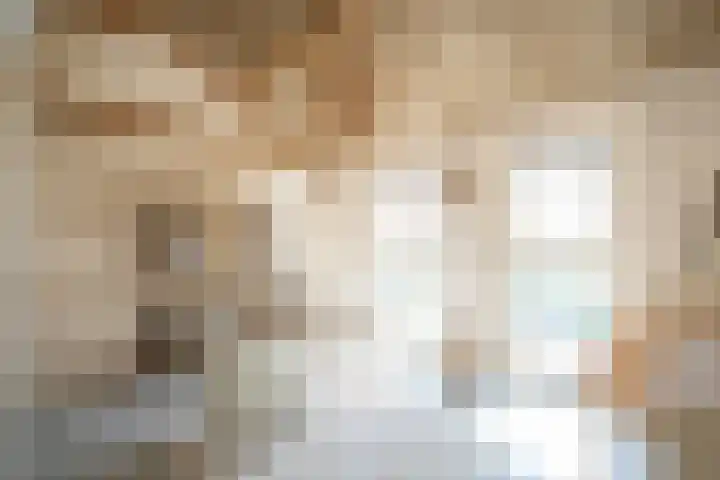 Bolgerijsekade 2 Vianen thumbnail 27