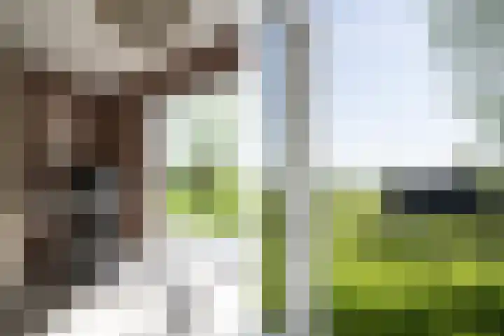 Bolgerijsekade 2 Vianen thumbnail 34