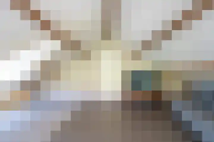 Bolgerijsekade 2 Vianen thumbnail 38