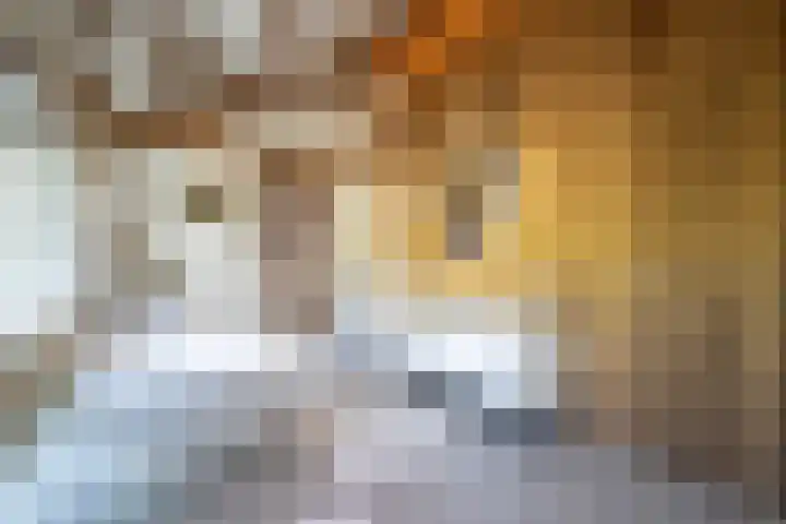 Bolgerijsekade 2 Vianen thumbnail 4