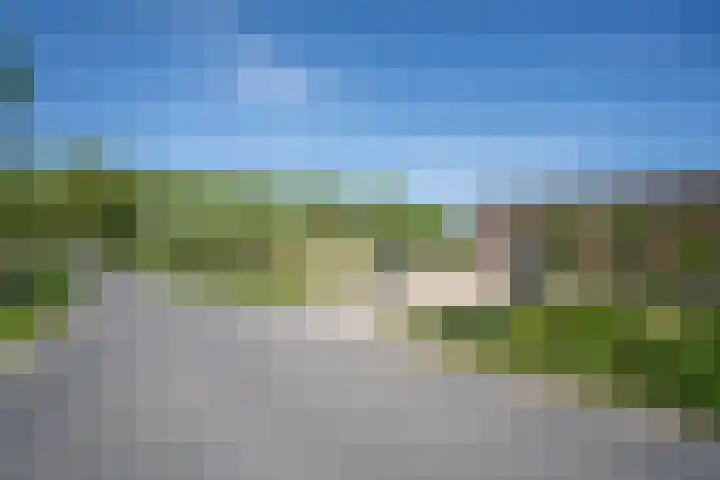 Bolgerijsekade 2 Vianen thumbnail 44