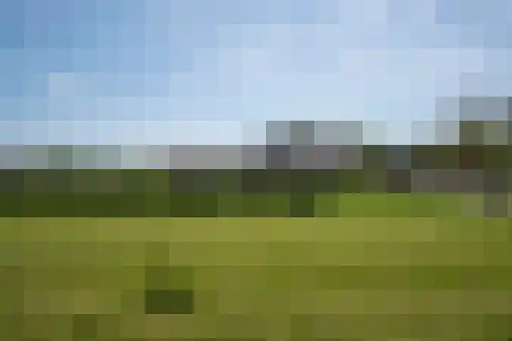 Bolgerijsekade 2 Vianen thumbnail 47