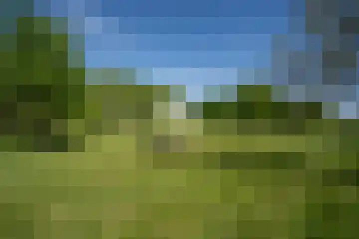 Bolgerijsekade 2 Vianen thumbnail 48