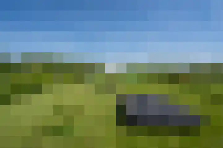 Bolgerijsekade 2 Vianen thumbnail 49