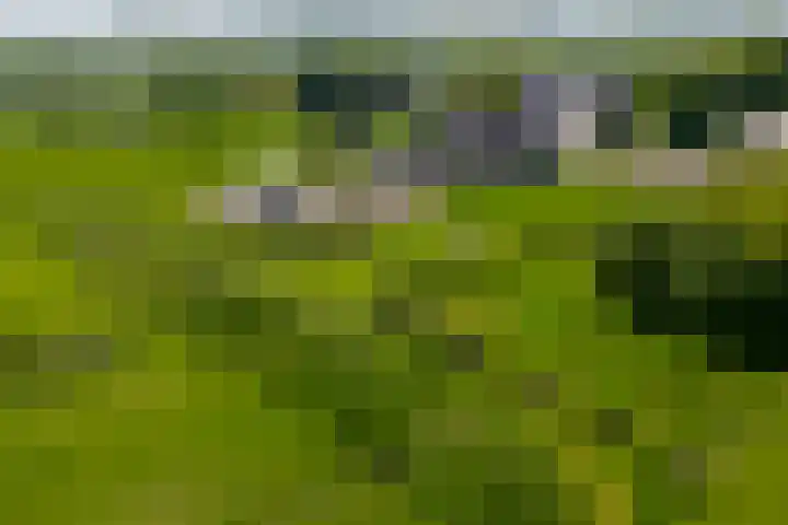 Bolgerijsekade 2 Vianen thumbnail 5