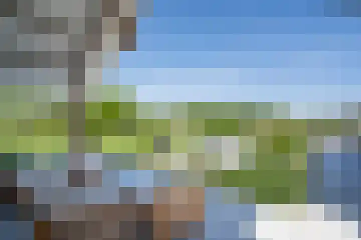 Bolgerijsekade 2 Vianen thumbnail 53