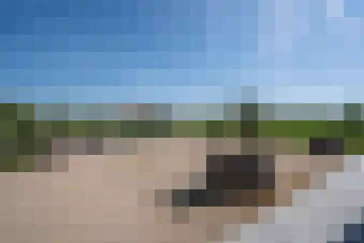 Bolgerijsekade 2 Vianen thumbnail 54
