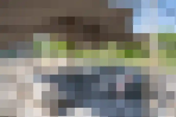 Bolgerijsekade 2 Vianen thumbnail 55