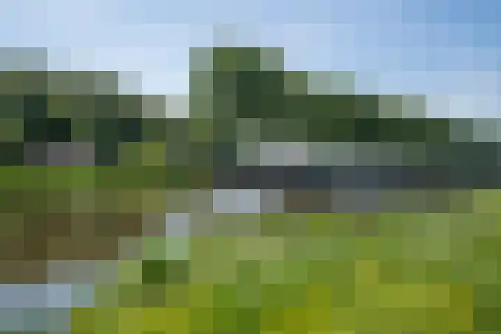 Bolgerijsekade 2 Vianen thumbnail 56