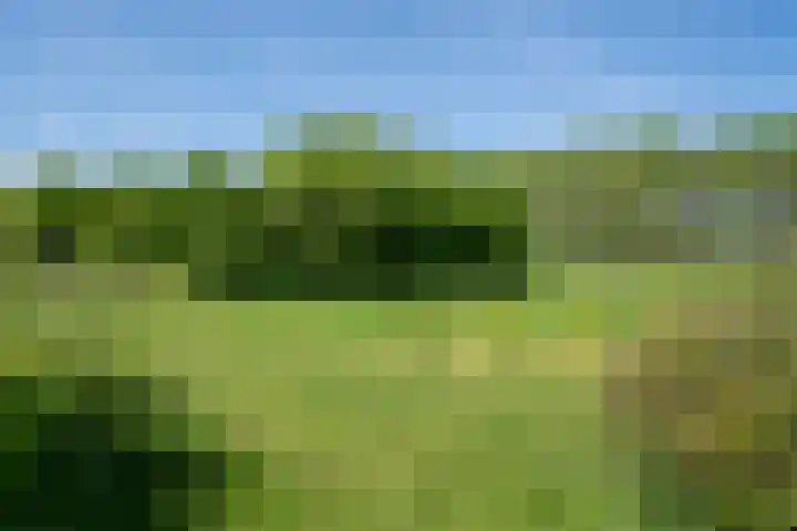 Bolgerijsekade 2 Vianen thumbnail 57