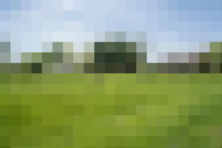 Bolgerijsekade 2 Vianen thumbnail 58