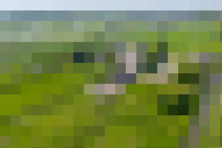 Bolgerijsekade 2 Vianen thumbnail 6