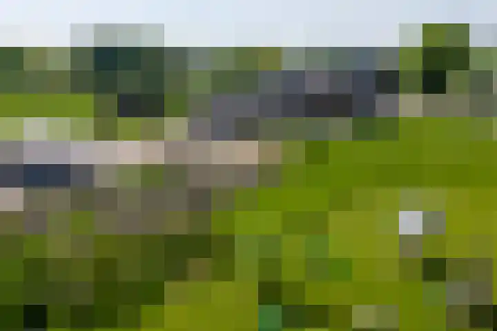 Bolgerijsekade 2 Vianen thumbnail 60