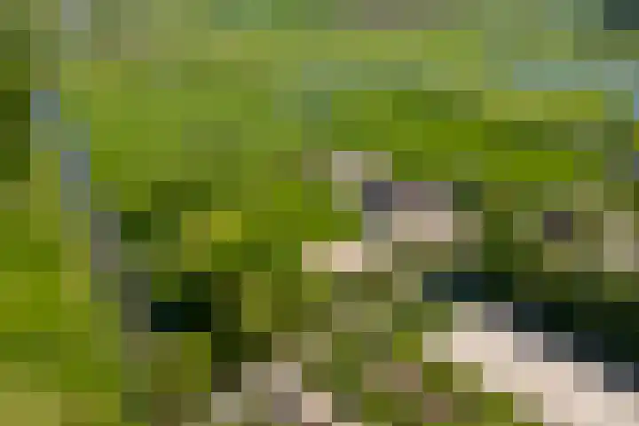 Bolgerijsekade 2 Vianen thumbnail 62