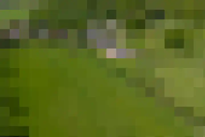 Bolgerijsekade 2 Vianen thumbnail 63