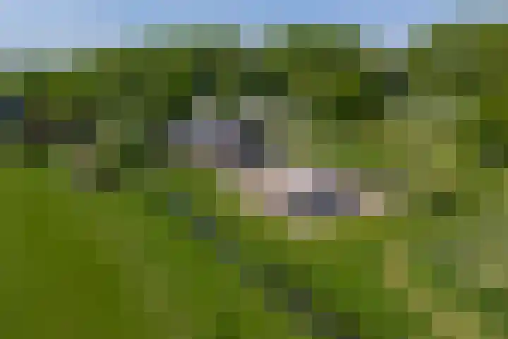 Bolgerijsekade 2 Vianen thumbnail 64