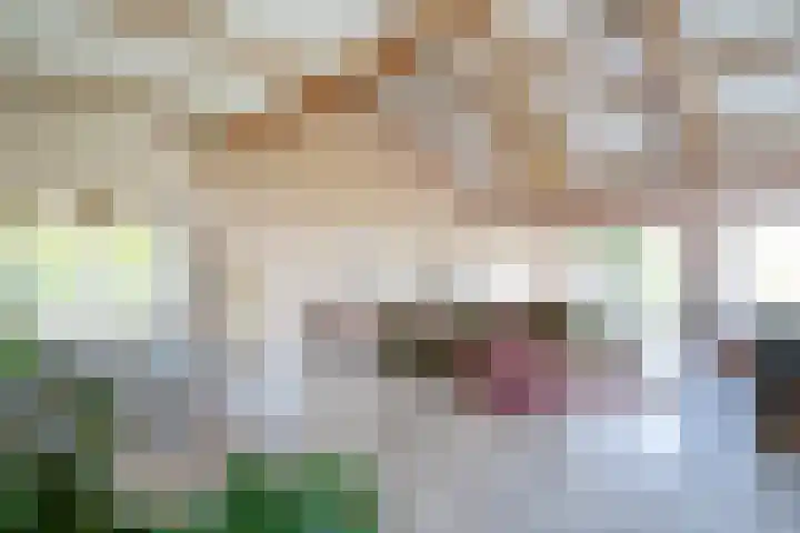 Bolgerijsekade 2 Vianen thumbnail 9