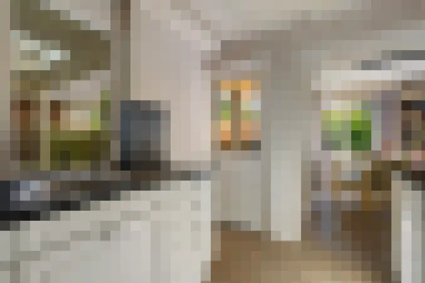 Bolhaarslaan 75 Enschede thumbnail 17