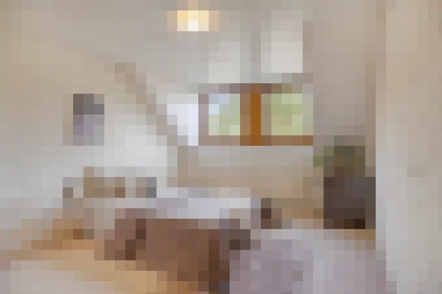 Bolhei 30 Veldhoven thumbnail 23