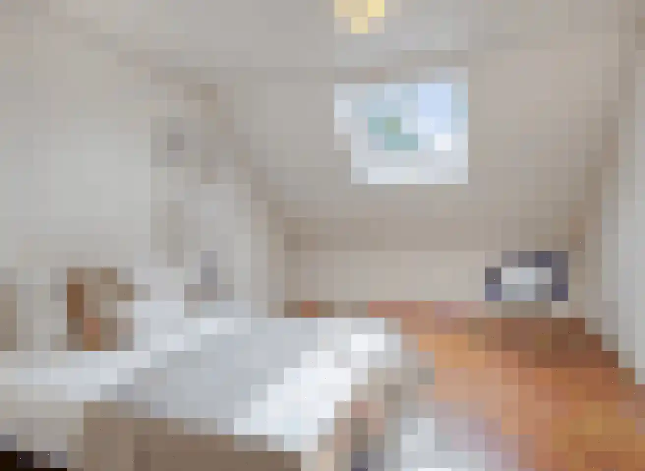 Bolhei 30 Veldhoven thumbnail 33