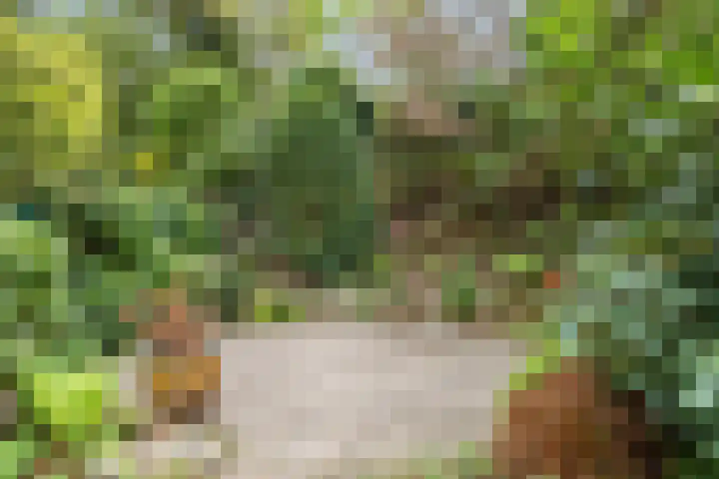 Bolhei 30 Veldhoven thumbnail 37