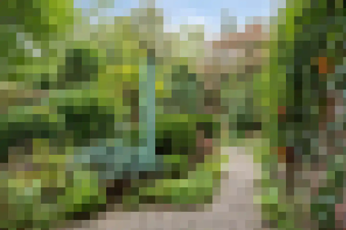 Bolhei 30 Veldhoven thumbnail 38